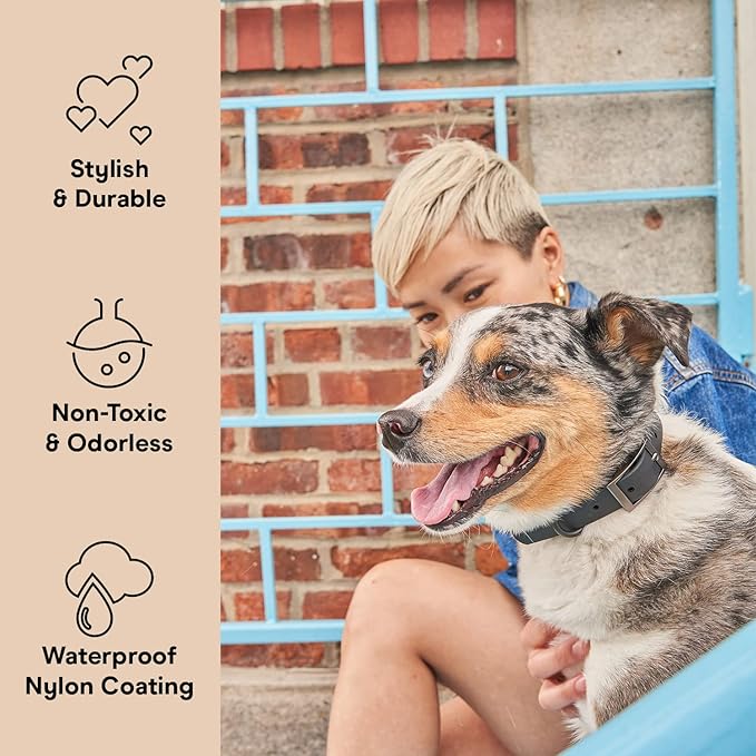 Wild One Dog Collar, Easy-Clean, All Weather Flex-Poly Strap with Metal, Durable, Dirt and Odor Resistant (Black, S)