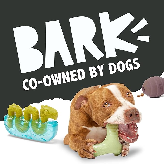 Barkbox Super Chewer Rad Herring Hard Core Toy with Rip Away Plush for Aggressive Chewers, Medium