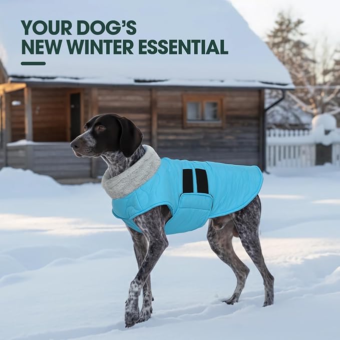 Kuoser Dog Coat, Dog Jackets for Large Dogs, Warm Winter Coat Cold Weather Coats, Doggie Snow Jacket Warm Pet Apparel Clothes for Golden Retriever Labrador, Blue XXXL