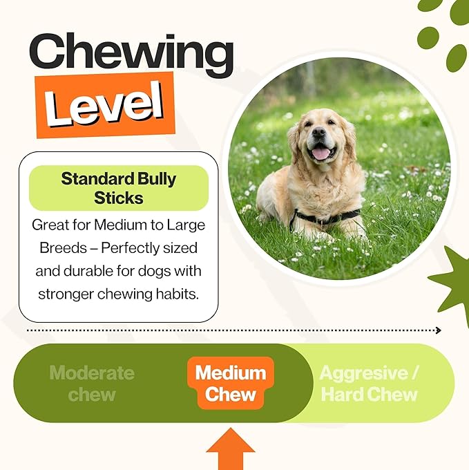 Bully Sticks for Medium Dogs, (6 Inch, 10 Count), Dog Chew Toy, Long-Lasting, 100% Grass-Fed Beef Pizzle for Medium and Large Dogs - Rawhide-Free