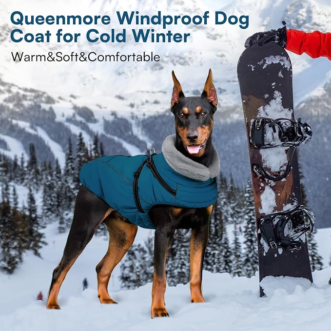 Queenmore Large Dog Coat,Dog Jacket for Extra Large Dogs with Harness Built in,Reflective Waterproof Dogs Jackets with Fleece Lining,Warm Snowsuit Pet Coats for Doberman,Labrador,Blue,XXL
