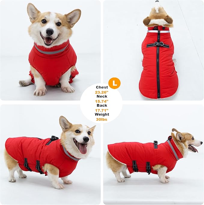 Large Dog Coat with Harness Built-in, Waterproof Reflective Fleece Lined - Warm Windproof Winter Jacket with Back Zipper, Cold Weather Snow Dog Coats - Red - XL