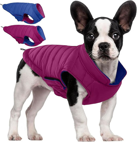 QBLEEV Reversible Dog Winter Coat, Waterproof Windproof Warm Jacket with Adjustable Hook & Loop Design, Lightweight Puffer Vest for Medium Dogs, Purple, M – Fits Pug, Beagle, Corgi