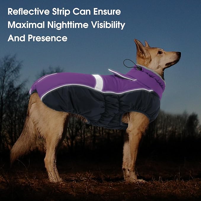 Queenmore Warm Fleece Dog Jacket - Cold Weather Waterproof Snow Coat With Leash Hole, Reflective Turtleneck Snowsuit for Small Medium & Large Dogs (Purple, 2XL)