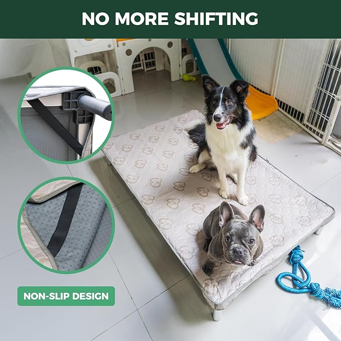 FXW TitanNest Chew-Proof Elevated Dog Bed, Raised Cot for Indoor/Outdoor/Camping Use, Durable & Washable Padded Pet Bed with Exclusive Cover for Large Dogs, 47.0" L x 29.0" W x 7.3" H, Black