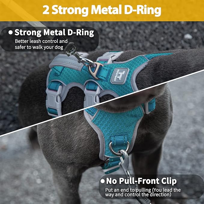 Huntboo Escape Proof Dog Harness, Escape Artist Harness, Fully Reflective Harness with Padded Handle, Breathable, Durable, Adjustable Vest for Small Dogs Walking, Training, and Running Gear (Teal,S)