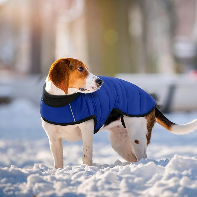 IDOMIK Dog Winter Coat, Warm Waterproof Dog Puffer Jacket with Harness Hole, Adjustable Reflective Snow Jacket Vest with Turtleneck, Pet Cold Weather Coats for Medium Dogs,Blue,M