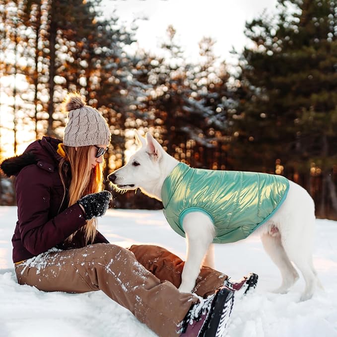 ASENKU Dog Winter Coat - Waterproof Windproof Dog Jacket, Warm Snowproof Doggie Puffer Vest for Cold Weather, Lightweight Snow Coats for Small Medium Large Dogs (Mint Green, 2XL)