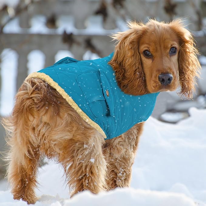 Queenmore Dog Winter Coat Warm Puffer Jacket Waterproof Plush Lining Thermal Cold Weather Vest for Small Medium Large Dogs, Windproof Easy On Pet Jacket Blue XL
