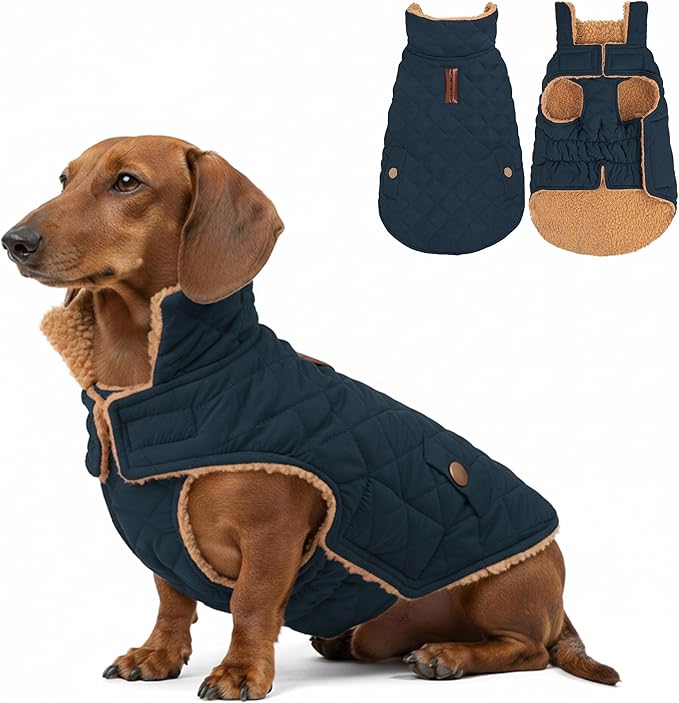 azuza Dog Jacket Waterproof & Windproof Dog Coat for Small Dogs with Thick Fleece, High Collar with Leash Hole, Adjustable Velcro & Elastic Belly, Navy L