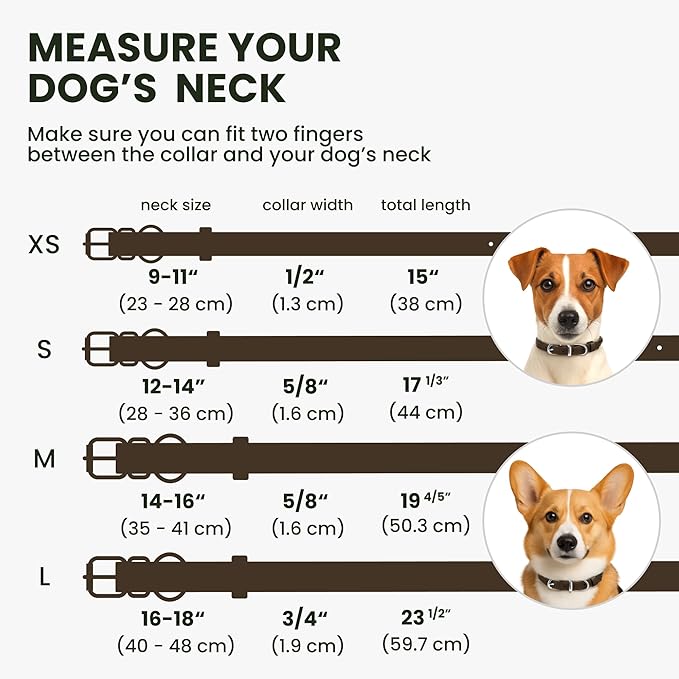 BRONZEDOG Rolled Leather Dog Collar for Small Medium Large Dogs with QR ID Tag (M: 14-16 Inch, Coffee Brown)