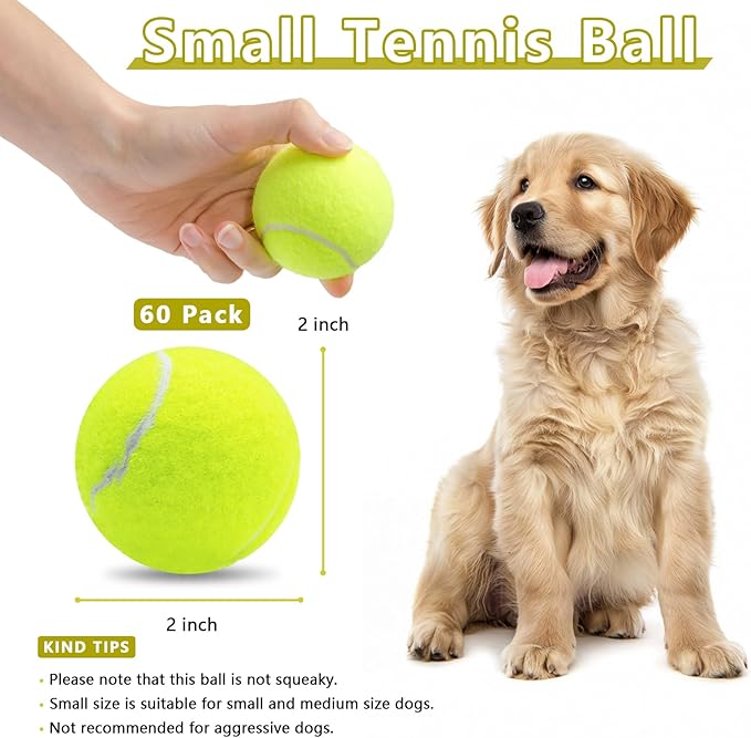 Magicorange Small Tennis Balls, 60 Pack 2 inch Tennis Balls for Dogs, Colorful Easy Catching Pet Dog Playing Ball (Multicolor)