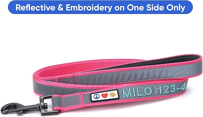 Pawtitas Personalized Dog Leash Embroidered Customize Your Pet Name & Phone Number Puppy Reflective 6 ft Long Small Pink Custom Tag Name, Pink Reflective 🔦 Padded