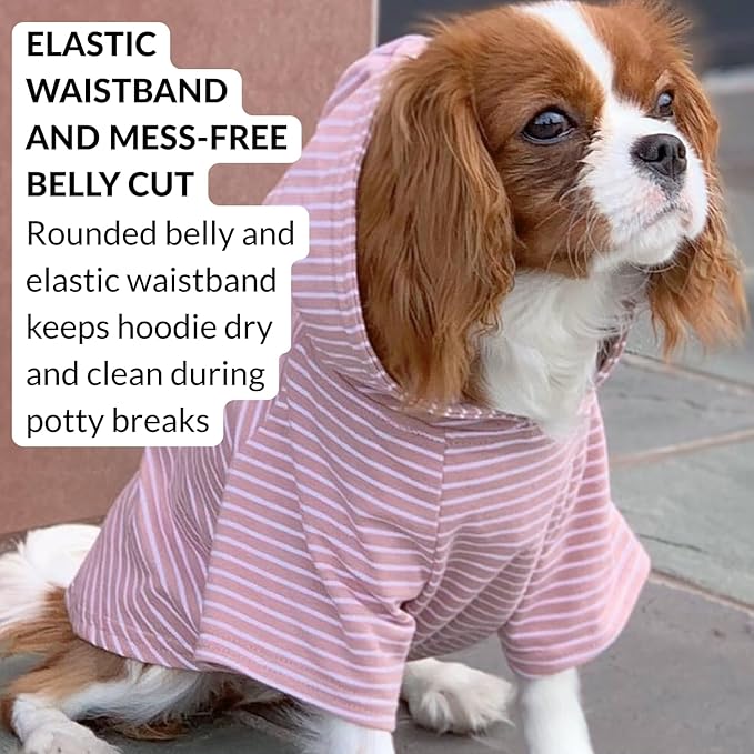 DJANGO Dog Hoodie – Warm, Lightweight, Soft & Stretchy Dog Sweater with Hood, Harness Hole & Elastic Waistband – Cozy Sweatshirt for Small Dogs up to 25 lbs, Dachshunds & Puppies – Blush Pink, Medium