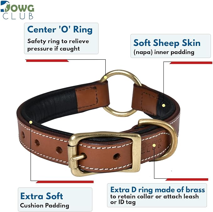 | Genuine Leather Adventure Dog Collar | Full Grain, Heavy Duty | with Inner Cushioned Padding | Best for Medium, Large & XL Dogs (X-Large (Fit Neck Size 22"-26"), Brown with Center O Ring)