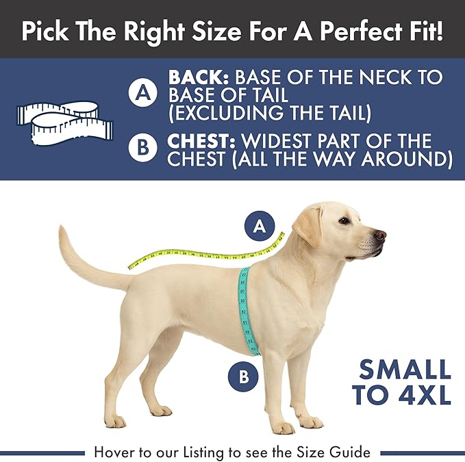 Spark Paws Reversible Dog Sweater, Sherpa Vest with Warm Fleece Lining, Warm Coat for Winter, Suitable for Small Medium, Large, XL XXL Dogs - Purple and Navy Blue - 2XL