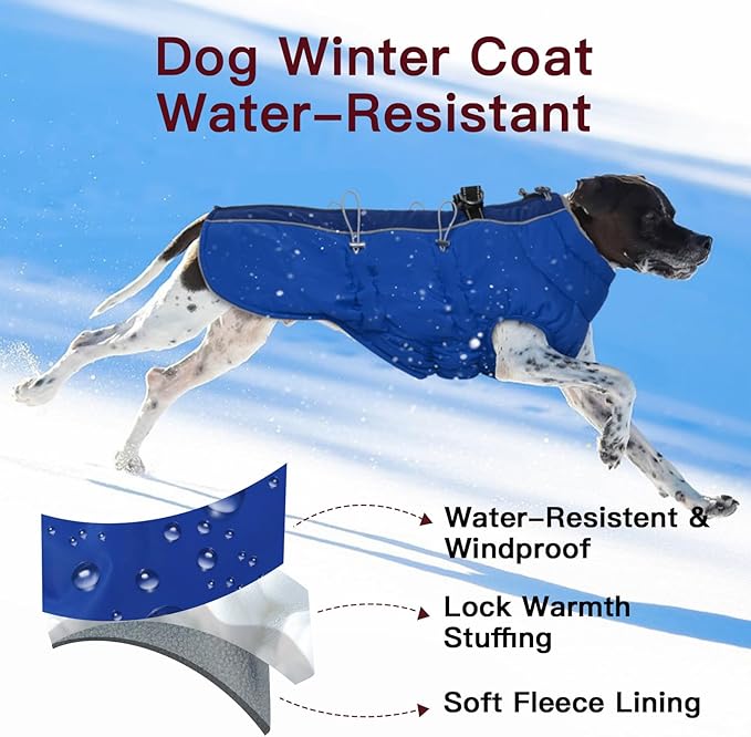 Medium Dog Coat - Warm Zip Up Snowsuit Dog Harness Vest, Reflective, Water-Resistant, Royal-Blue