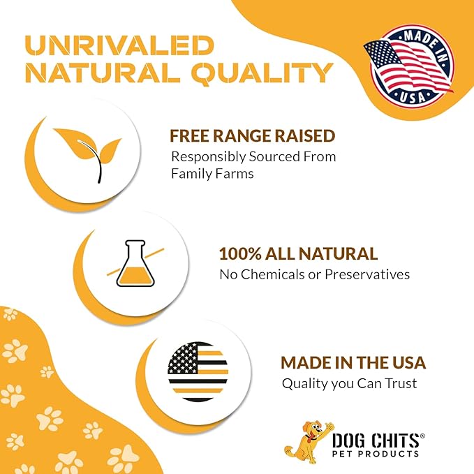Dog Chits Pig Ears for Dogs – 100% Natural Baked Pig Ear Dog Treats & Training Chews – High Protein, Lower Fat, Grain-Free – Great for Puppies, Dental Support – Medium Size, 15 Pack – Made in USA