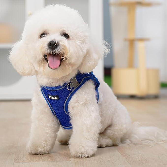 AIITLE Comfortable Dog Harness and Leash Set for Walking - Summer Step in Vest Harness,Reflective Bands, Adjustable No Pull Puppy Essentials, for Small Dogs and House Cats Royal Blue XS