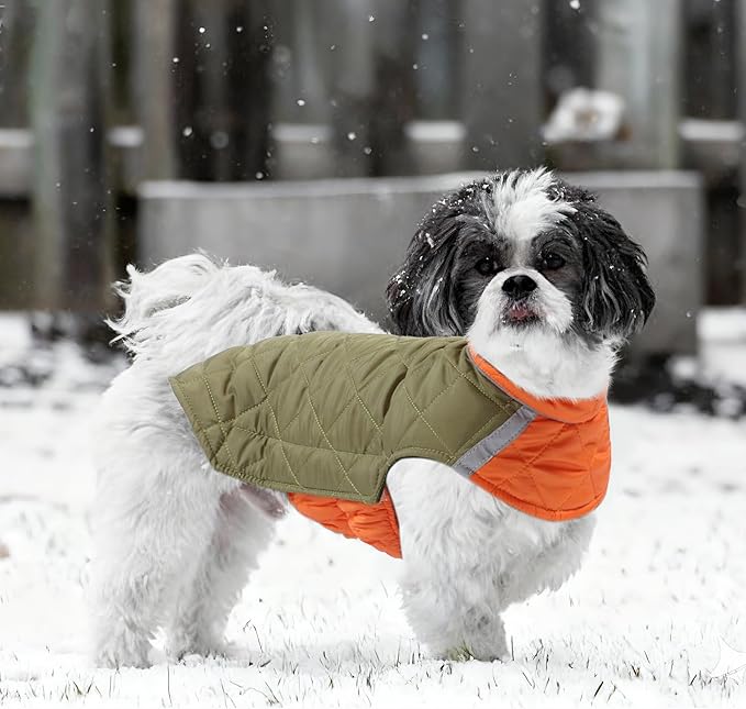 Quilted Dog Winter Coat, Plaid Lined Reversible Vest, Reflective Safety Strip, Cold Weather Pet Apparel Army Green XS