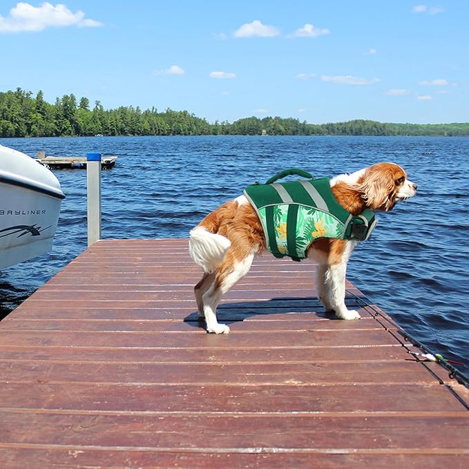 Kuoser Dog Life Jacket with Reflective Stripes, Adjustable Visibility Dog Life Vest, Ripstop Lifesaver for Small to Large Dogs
