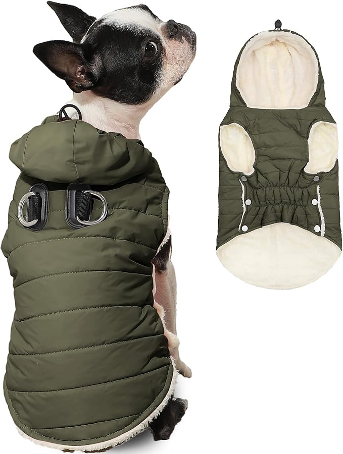 Fleece Lining Dog Hoodie with Harness Built in,Extra Warm Small Dog Jacket in Winter Puppy Coats with Drawstring Hooded,Green S
