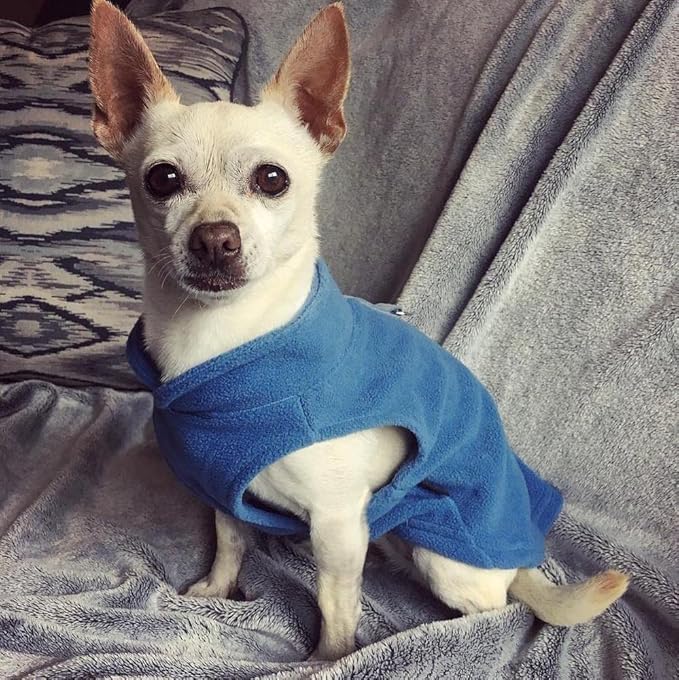 Gooby Fleece Vest Dog Sweater - Blue, X-Small - Warm Pullover Fleece Dog Jacket with O-Ring Leash for Small to Medium Dogs