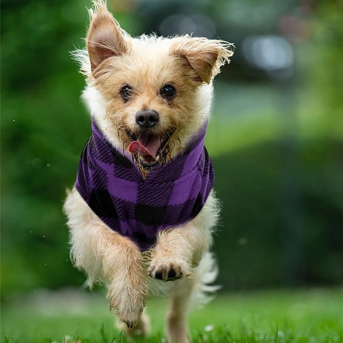 KAMA BRIDAL Spring Autumn Winter Coat Pullover Fleece Vest for Cats Small and Medium Dogs Thin Sweater Purple & Black Plaid (Purple, L)