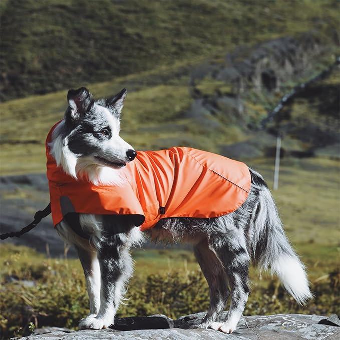 Dog Water-Repellent Raincoat Jacket, Lightweight Reflective Waterproof Clothes for Small Medium Large Dogs, Outdoor for Fall & Spring (Yellow, M)