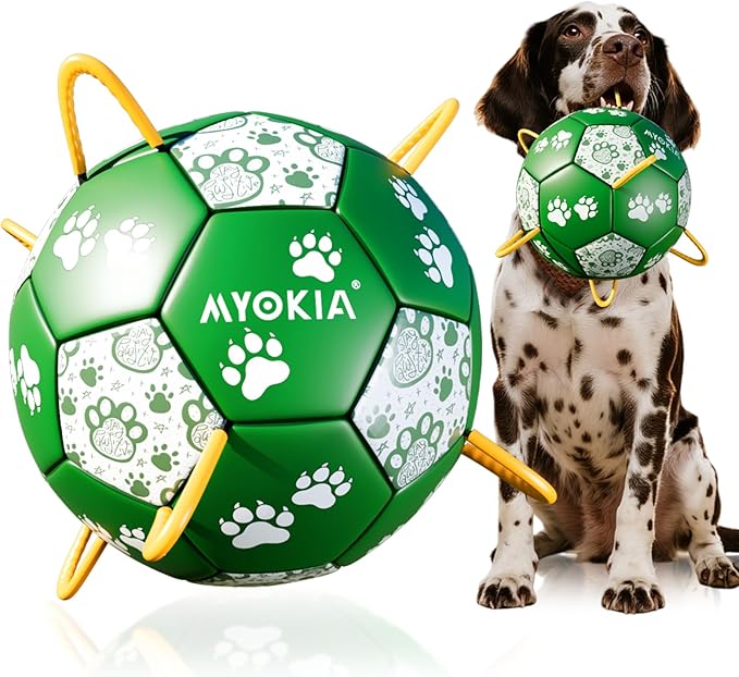 Size 3 Interactive Dog Football with Strap,Green & White, Eye-Catching Paw Design, Ideal Outdoor Training Pet Toy, Perfect Choice for Medium & Large Dogs' Playtime