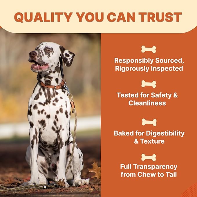 Gaines Pet Pig Ears for Dogs – 100 Count, All-Natural Whole Ears – No Additives or Hormones, Rawhide Alternative, Supports Dental Health, Easily Digestible Treat for Small to Large Dogs