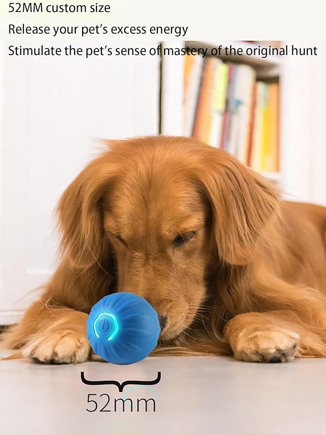 Winb Interactive LED Dog Ball （2 inch）- USB Rechargeable Motion-Activated Rolling Toy for Small Dogs, Dogs Ball Play and Wicked Fun