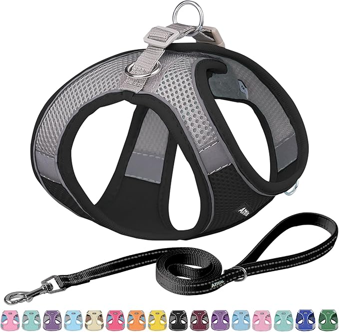 AIITLE Step in Dog Harness and Leash Set - Summer No Pull Escape Proof Vest Harnesses with Soft Mesh and Reflective Bands, Adjustable Pet Outdoor Harnesses for Small and Medium Dogs Black M