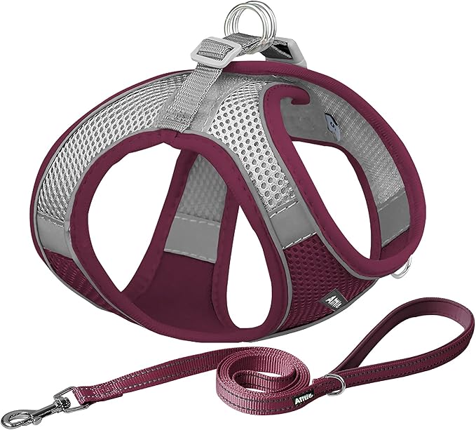 AIITLE Small Harness for Puppy with A Leash - Summer Dog Vest Harness with Super Breathable Mesh, Reflective No-Pull Pet Harness for Outdoor Walking, Camping for Small Dogs, Cats Burgundy XXS