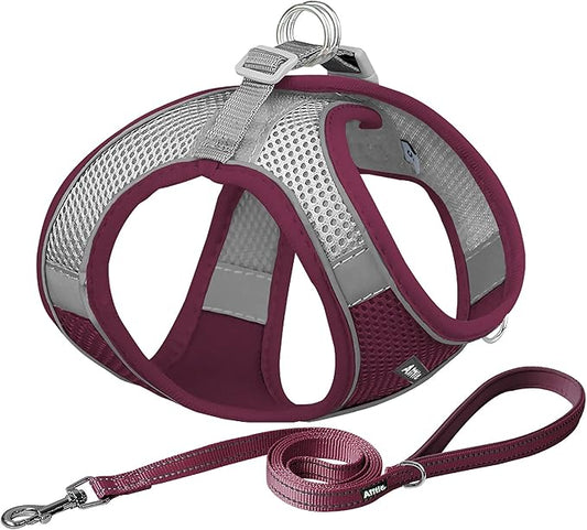 AIITLE Step in Dog Harness and Leash Set - Summer No Pull Escape Proof Vest Harnesses with Soft Mesh and Reflective Bands, Adjustable Pet Outdoor Harnesses for Small and Medium Dogs Burgundy M