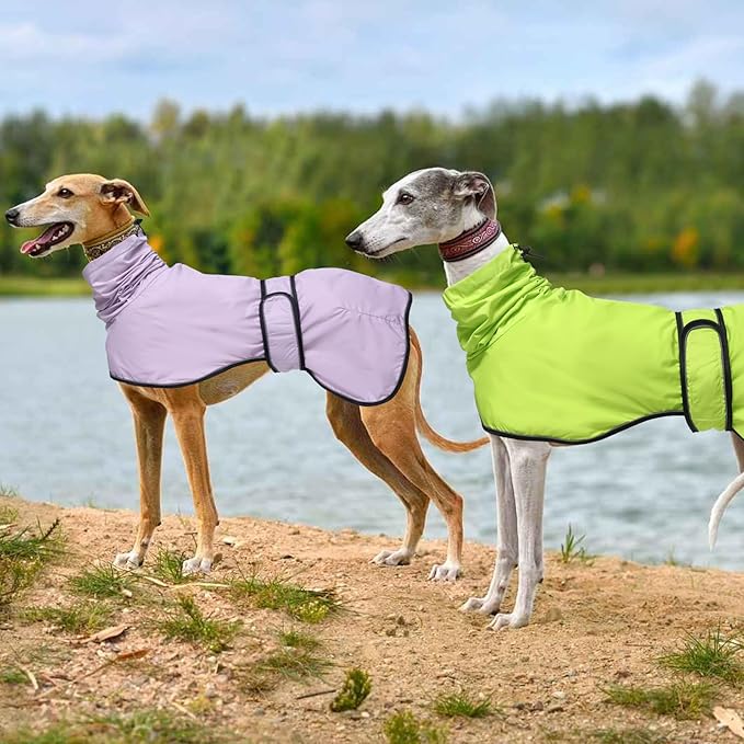 Dog Raincoat with Reflective Bar, Rain/Water Resistant, Adjustable Vest - Dog Raincoats for Greyhounds, Lurchers and Whippets - Light Green - M
