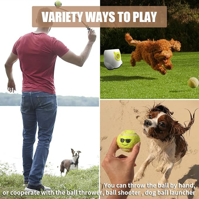 PTLSY Easy Catch Dog Tennis Balls - 16 Pack, Standard Size (2.5 inch) for Medium & Small Dogs