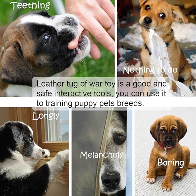 Storystore Leather Puppy Bite Rag Dog Tug Toy with Handle Tug of War Dog Toy Interactive Toys Toys for Small Medium Large Dogs Grip Development, Police K9 Training and Bite Inhibition