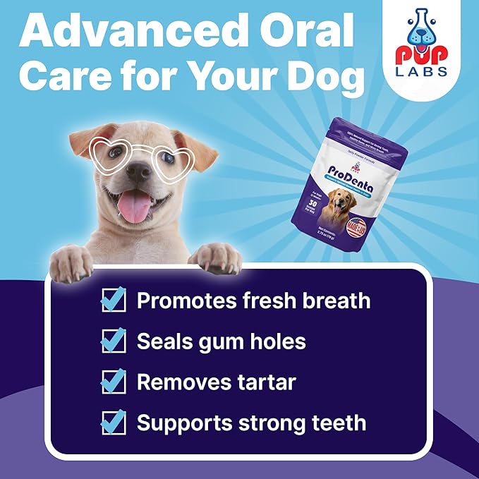 ProDenta, Dog Teeth Cleaning and Dog Breath Freshener, Natural Powder for Plaque, Tartar, and Gum Support Made in USA, 3-Pack (90 Scoops)