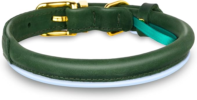 OOPSDOGGY Reflective Rolled Leather Dog Collar Adjustable Soft Padded Pet Collar for Small Medium Large Breed Dogs (Green, XS, 8"-11")