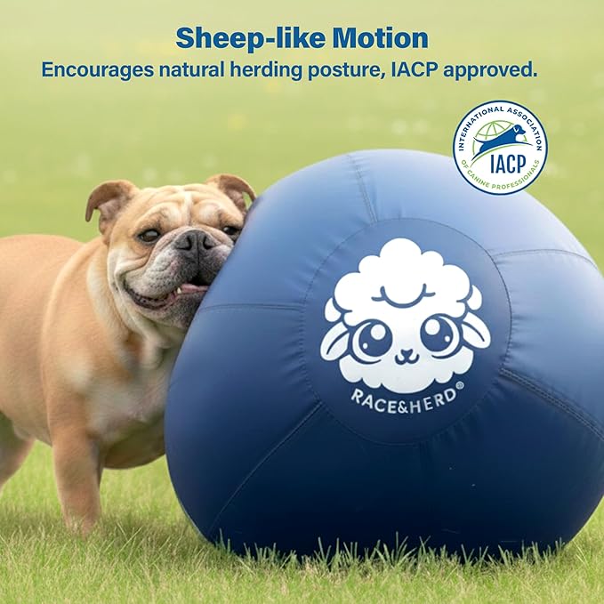 Race&Herd 25" Original XXL Herding Ball for Dogs - Giant Herding Dog Ball Australian Shepherds, Herding Toys, Dog Training Toy for Medium Breeds, Dog Toy for Outdoor Play (for Medium Dogs, Blue)