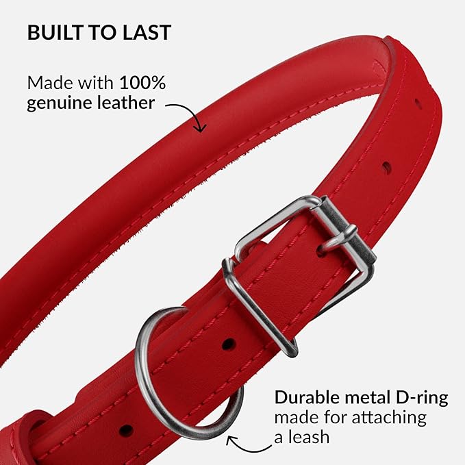 CollarDirect Rolled Leather Dog Collar, Soft Padded Round Puppy Collar, Handmade Genuine Leather Collar Dog Small Large Cat Collars 13 Colors (18-22 Inch, Red Smooth)