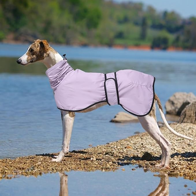 Dog Raincoat with Reflective Bar, Rain/Water Resistant, Adjustable Vest - Dog Raincoats for Greyhounds, Lurchers and Whippets - Purple - XXXL