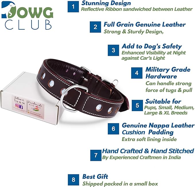 | Genuine Leather Dog Collar | Full Grain, Heavy Duty | Comfortable, Padded, Strong | Best for Pups, Small, Medium, Large & XL Breeds (Large (Fit Neck Size 18.5"-22.5"), Garnet)