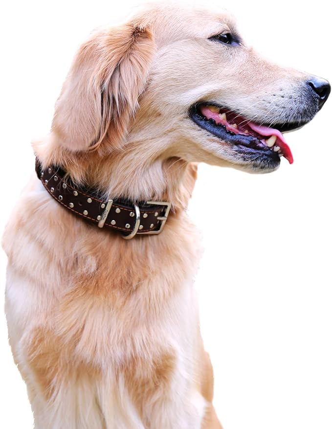 Studded Leather Dog Collar – Durable Adjustable Collar, Brown Medium