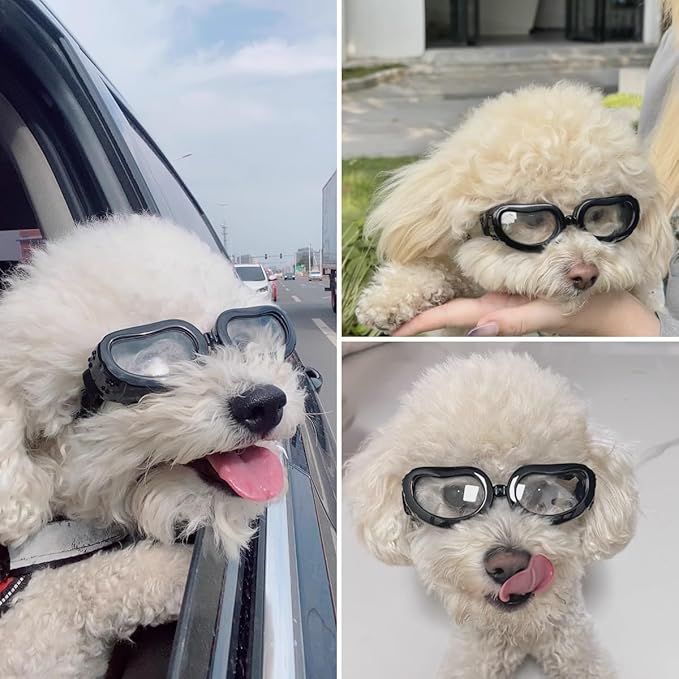 Namsan Clear Dog Goggles Small Breed, Anti-UV Sunglasses for Dogs Small Breeds, Windproof Riding Dog Eye Protection, Doggie Glasses with Elastic Straps, Easy Put-on/Adjustable, Transparent