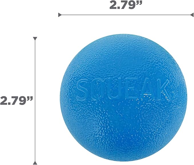 Outward Hound by Planet Dog Squeak Ball Bouncy Fetch Dog Toy, Blue