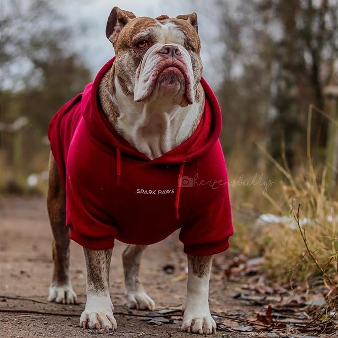 Spark Paws Dog Hoodie – Premium Dog Sweater for Small, Medium, and Large Dogs | Warm Outfits for French Bulldogs, Pitbull, Puppy, Winter Jacket Alternative - Burgundy - 4XL