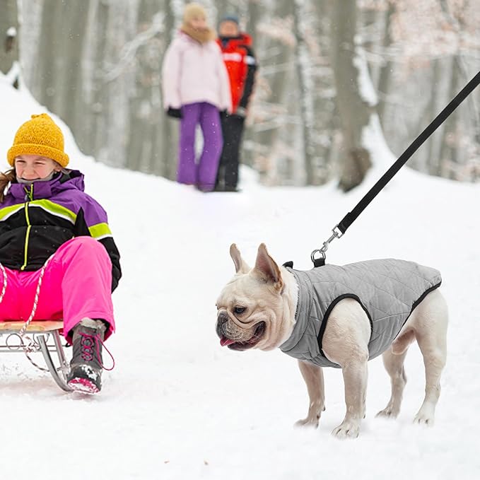 SCENEREAL Winter Dog Vest Coat with Harness Built in, Warm Puppy Jacket for Small Medium Sized Dogs, Dog Cold Weather Coats with Zipper, Fleece Puffer Vest Windproof Snow Clothes for Puppies Pet