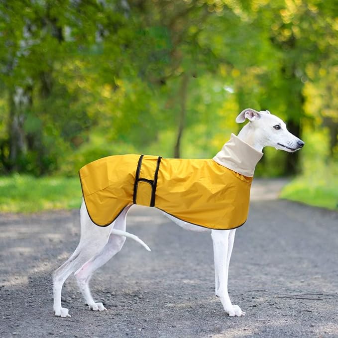 Morezi Dog Raincoat with Reflective Bar, Rain/Water Resistant, Adjustable Vest - Dog Raincoats for Greyhounds, Lurchers and Whippets - Yellow - Large